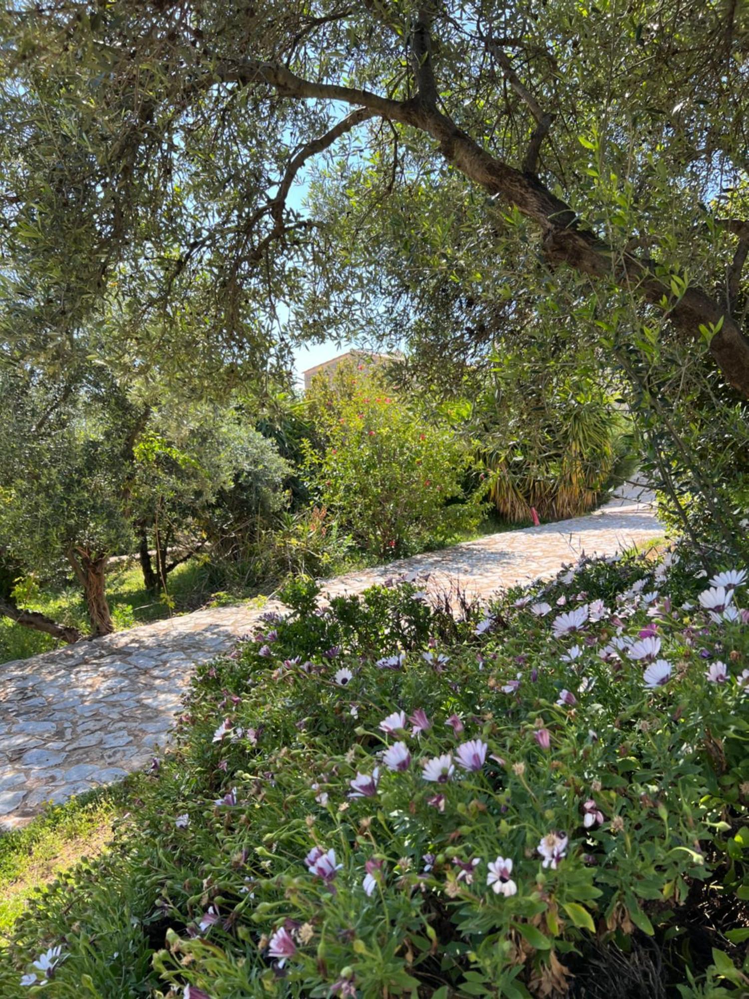 Koukouri Village Kafiona 외부 사진